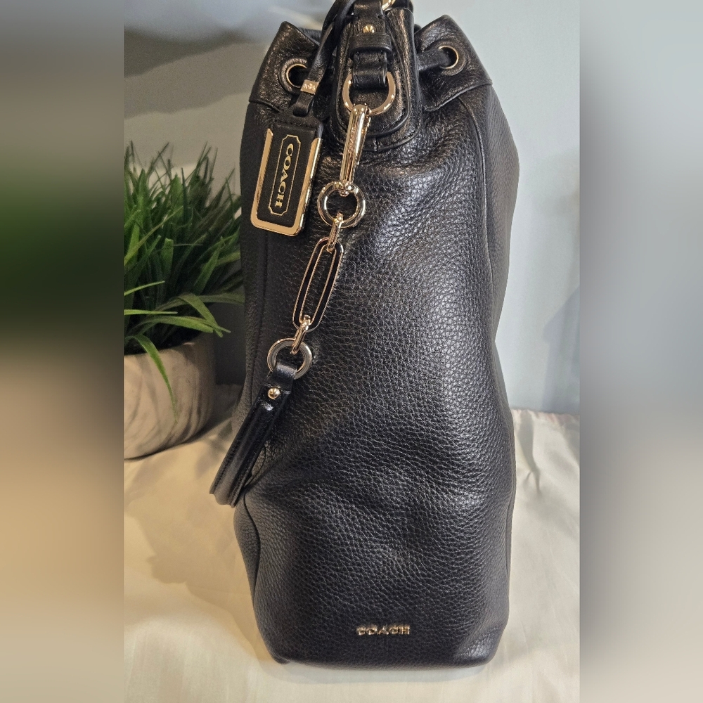 Coach Madison Pinnacle Leather Large Drawstring Shoulder Bag - Picture 3 of 15